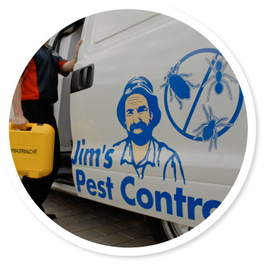 Termite & Pest Control Newcastle by Jim's